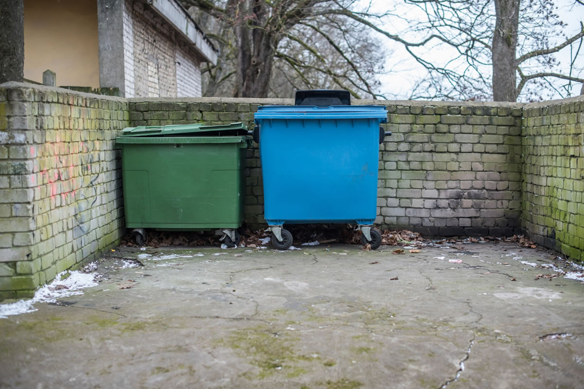 Reasons to Get a Dumpster Rental for Your Backyard Clean Up