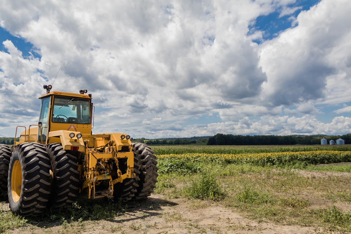 How to Clear Land Efficiently with the Help of Professionals