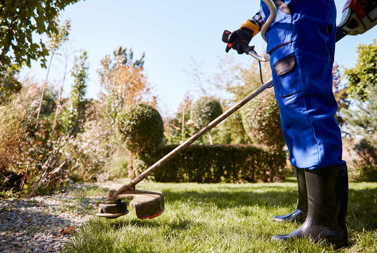 Tips for a Total Lawn Renovation