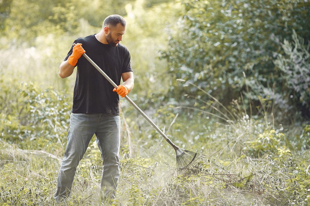 The Ultimate Guide to Clearing Brush: Tips, Tricks, and Tools