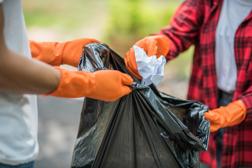 A Comprehensive Guide to Tidying Up