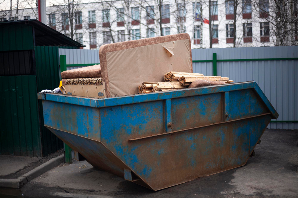 Brush Clearing Dumpster Sizes: Choosing the Right Bin for Your Florida Yard