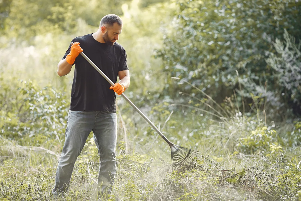 The Ultimate Guide to Clearing Brush: Tips, Tricks, and Tools